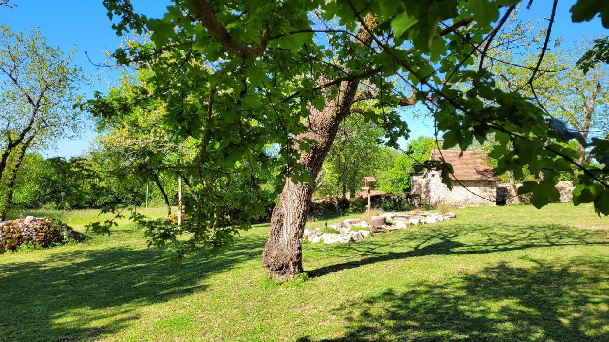 Les Enclos Secrets Livernon Exterior photo